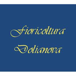 Agenzia Funebre Fioreria Dolianova, orari di apertura