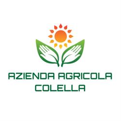 Colella Vito Francesco, Polignano a Mare orari di apertura