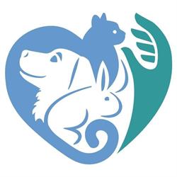 Ambulatorio Veterinario Dott.ssa Linda Galdi, Moncalieri orari di apertura