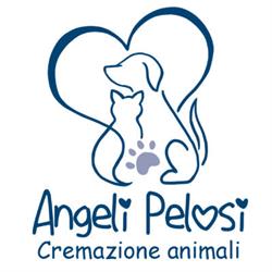 Angeli Pelosi, Ferrara orari di apertura