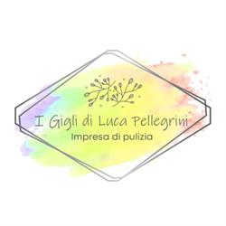 I Gigli Impresa di Pulizie, Santo Stefano di Magra orari di apertura
