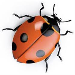 Agriturismo La Coccinella, Piombino orari di apertura