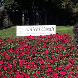 Antichi Casali s.a.s. (Ufficio vendite), Bregnano orari di apertura