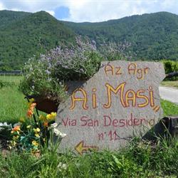 Azienda agricola Ai Masi, Novaledo orari di apertura