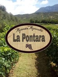 Az.Agricola "La Pontara", Caprino Veronese orari di apertura