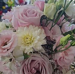 Eden piante e fiori di Bucari Alessandra, Rieti orari di apertura