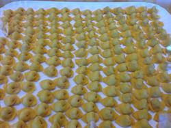 Gastronomia-Pasta Fresca Donini M.Cristina, Fano orari di apertura