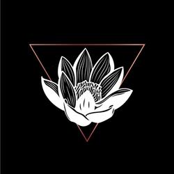Black Lotus Tattoo Shop, Ravenna orari di apertura