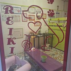 Toelettatura Claudia Nami, Bologna orari di apertura