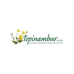 Topinambur Cooperativa Agricola, Treviso orari di apertura