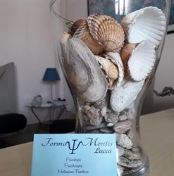 Studio Psicologico FormaMentis, Lucca orari di apertura
