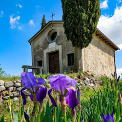 Agriturismo San Pietro, Monzambano orari di apertura