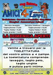 Amici a 4 Zampe, Piazza Armerina orari di apertura