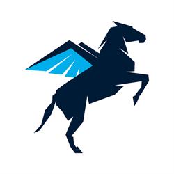 Pegaso Adv, Pescara orari di apertura