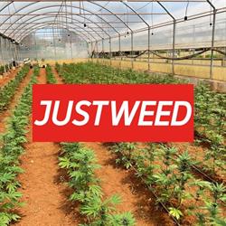Just Weed, Brindisi orari di apertura