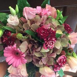 Flop Fiori e Piante, Vasto orari di apertura