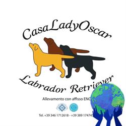 Allevamento Labrador CasaLadyOscar, Mandas orari di apertura
