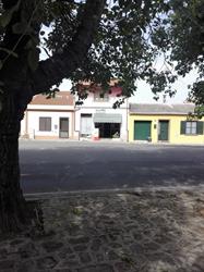 Market m.l. Di Palmas Mafalda Snc Oristano, Donigala Fenughedu - Orari di apertura