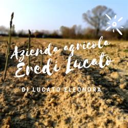 Azienda Agricola Eredi Lucato, Badoere orari di apertura