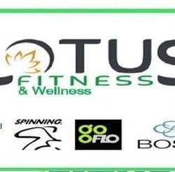 Lotus Fitness&Wellness in Cyf Sport Service, Livorno orari di apertura