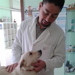 Centro Veterinario Polifunzionale Domitio, Cellole orari di apertura