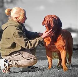 Allevamento Les Dogues de la Plaine Kennel Fiscaglia, Massa Fiscaglia - Orari di apertura