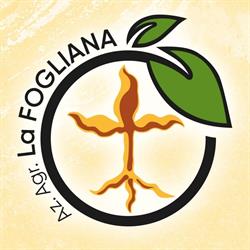Azienda Agricola La Fogliana, Vignola orari di apertura