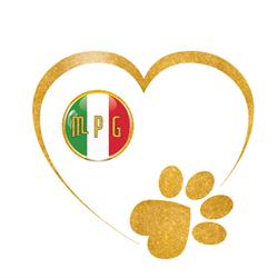 Marche Pet's Group, Civitanova Marche orari di apertura