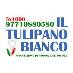 Il Tulipano Bianco, Roma orari di apertura