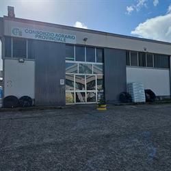 Consorzio Agrario Borgia, orari di apertura