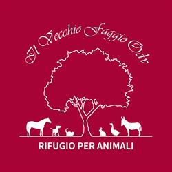 Azienda Agricola Il Vecchio Faggio, Castelmarte orari di apertura