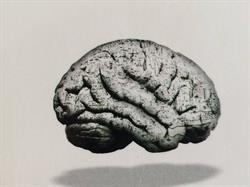 Centro Neurologico Marchese Ragona, Canicattì orari di apertura