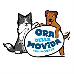Smiling Dog, Castenaso orari di apertura