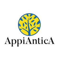 Centro Commerciale AppiAnticA, Mesagne orari di apertura