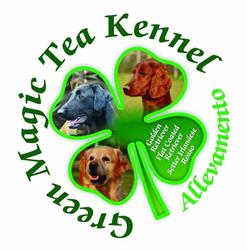 GREEN MAGIC TEA KENNEL, Mirano orari di apertura