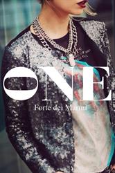 One Srl, Forte dei Marmi orari di apertura