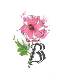 Malvarosa B&B, Sulmona orari di apertura