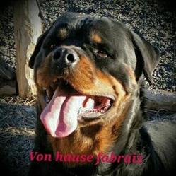 Kennel Von Hause Fabraiz, Busalla orari di apertura