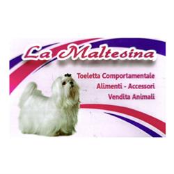 La Maltesina, Roma orari di apertura