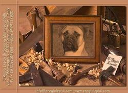 Allevamento Bullmastiff E. Regio Lepidi, Reggio Emilia orari di apertura