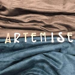 ArteMise, Ortona orari di apertura