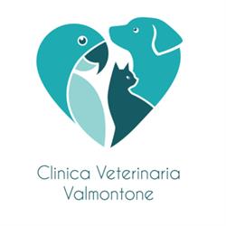 Clinica Veterinaria Valmontone, orari di apertura