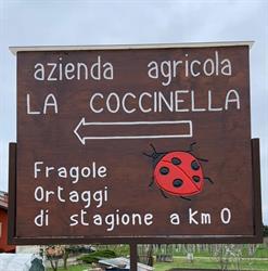 Az. Agr. La Coccinella, Campiglione orari di apertura