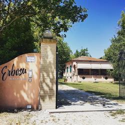 Erbosa Bed & Breakfast, Ravenna orari di apertura