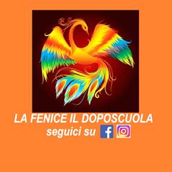 La Fenice Il Doposcuola, Formia orari di apertura