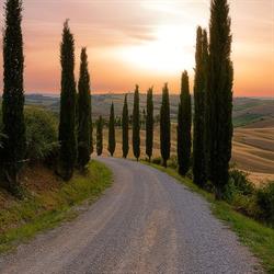Studio di Psicologia Ass. I Sentieri di Oya, Casoria orari di apertura