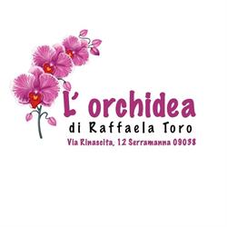 L'Orchidea Di Toro Raffaela, Serramanna orari di apertura