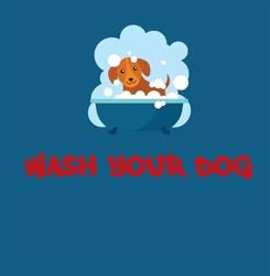 Wash Your Dog, Melfi orari di apertura