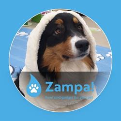 Zampa Pet Store, Valmontone orari di apertura