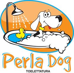 Perla Dog, Misterbianco orari di apertura